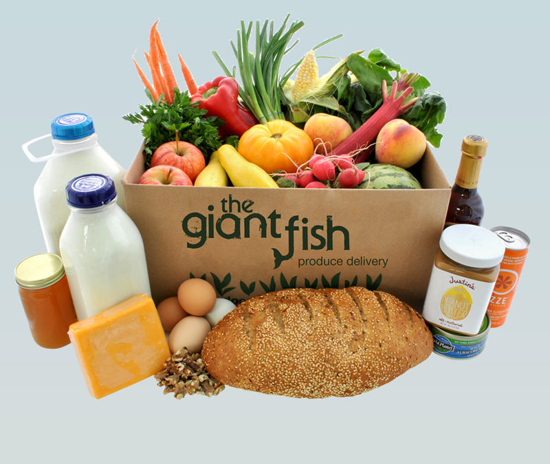 The Giant Fish