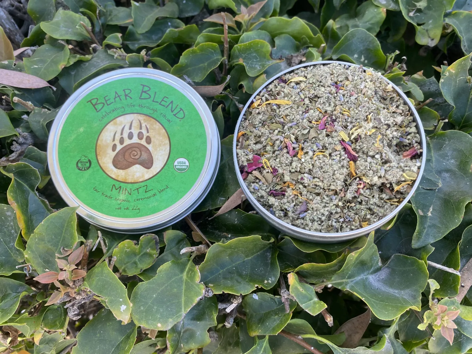 Bear Blend
