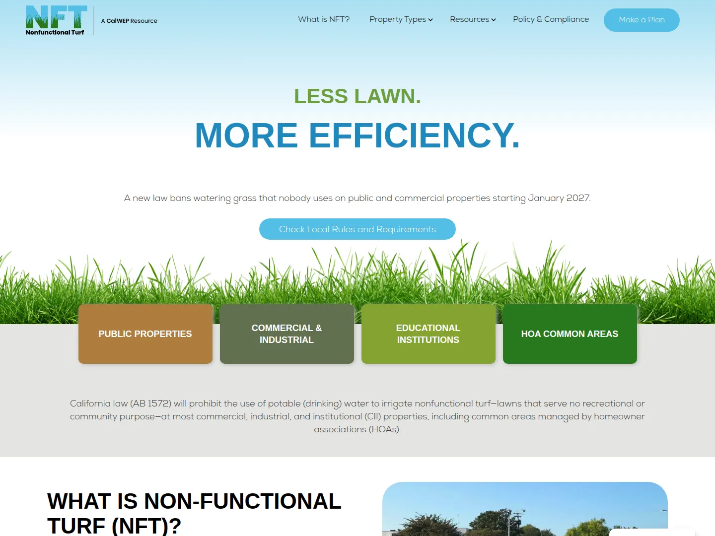 Non-Functional Turf California project